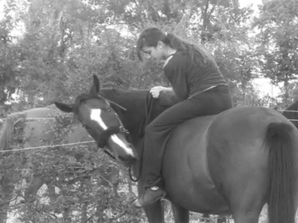 Cadence - Octobre 2009