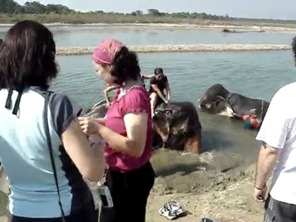 Chitwan / Nepal