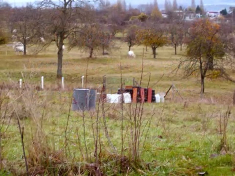 Saverne airsoft