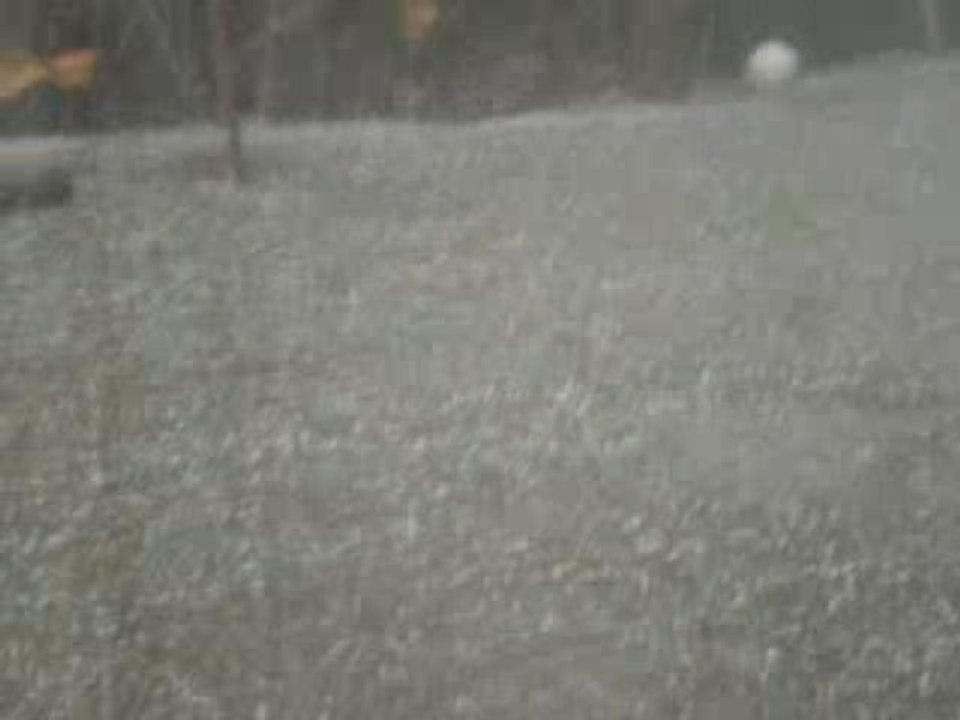 14:11/2009 des Grelon sur Pornic  Comme des Balles de Tennis