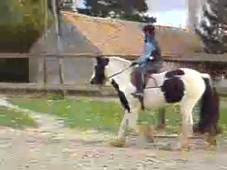 Baptiste sur piebald two