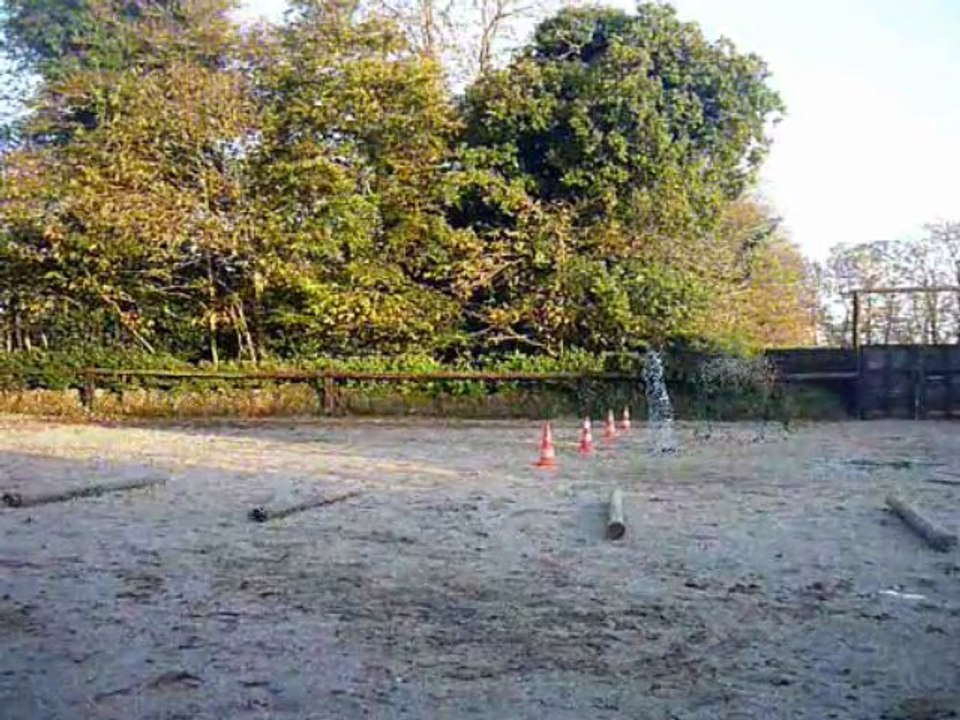 Le paradis des chevaux