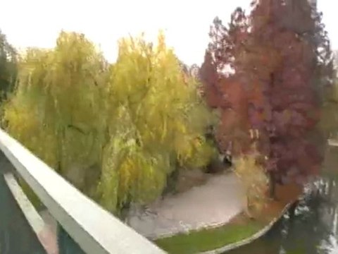 Alexandru Ioan Cuza Park - November 2009 cd1