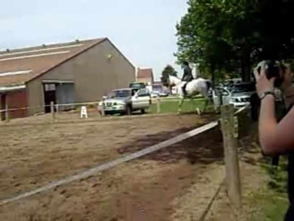 Kerrica, Anglo Arabe , Je T'♥