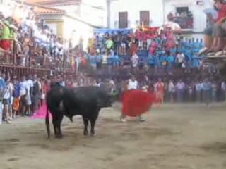 Fiesta 2009  Losar de le Vera