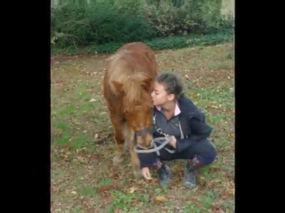 1 ans =')
