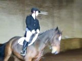 concours dressage ecurie d escazalou