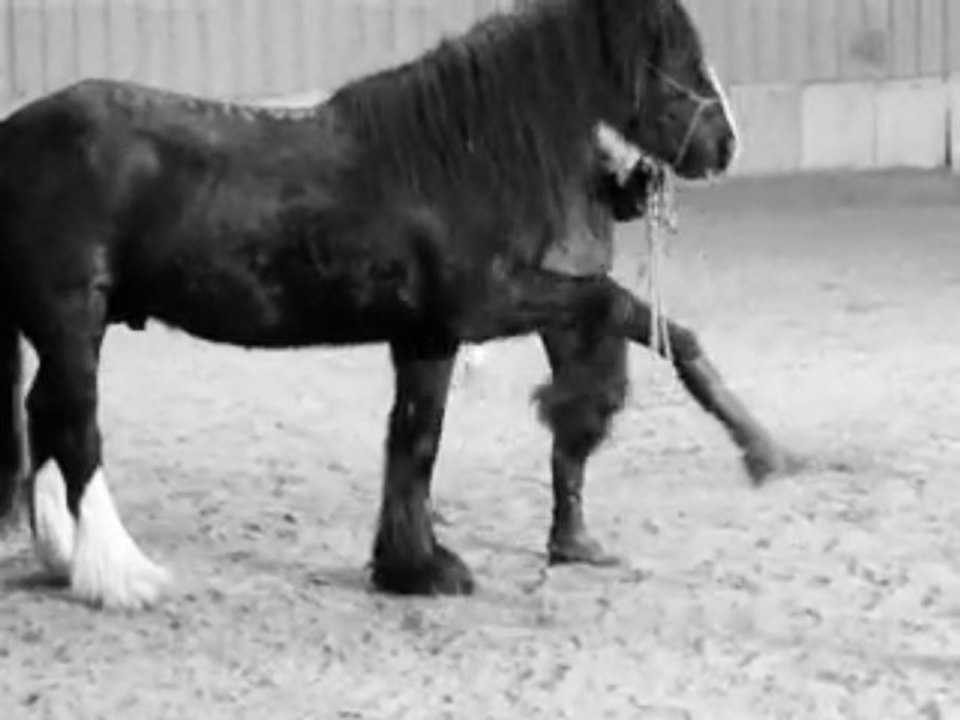 Début du Pas espagnol avec Quart =P