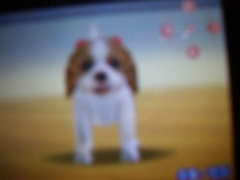 Vidéo OBR nintendogs