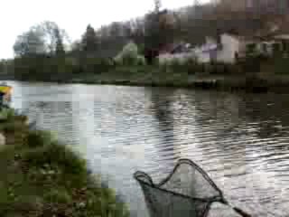 Brochet de 55cm