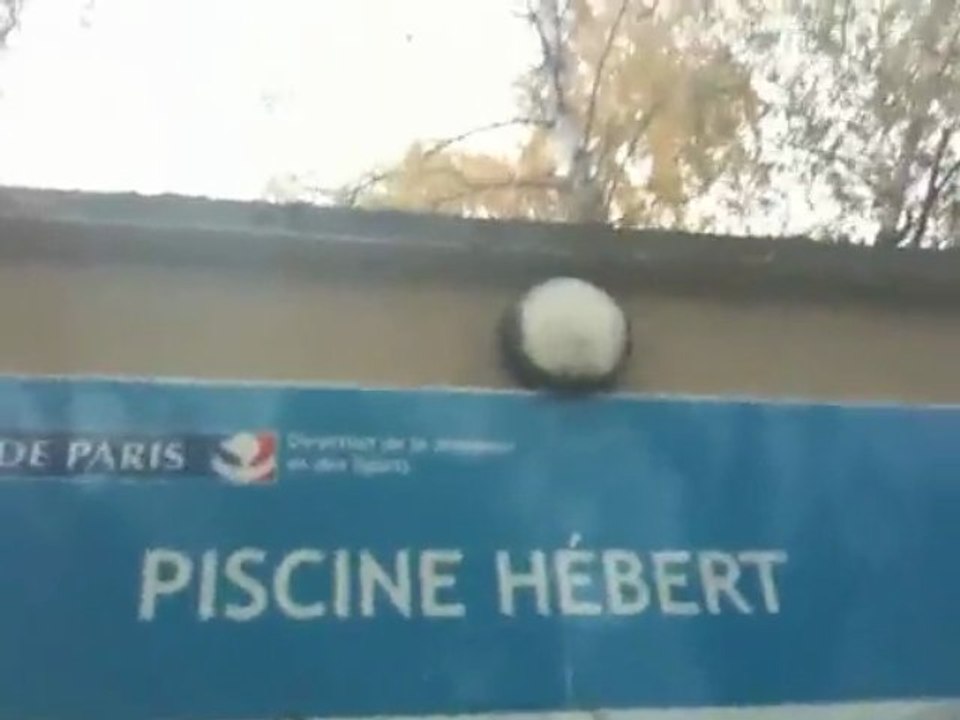 Piscine 14/11/09