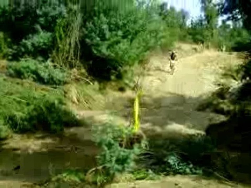 Roc d'Azur 2009