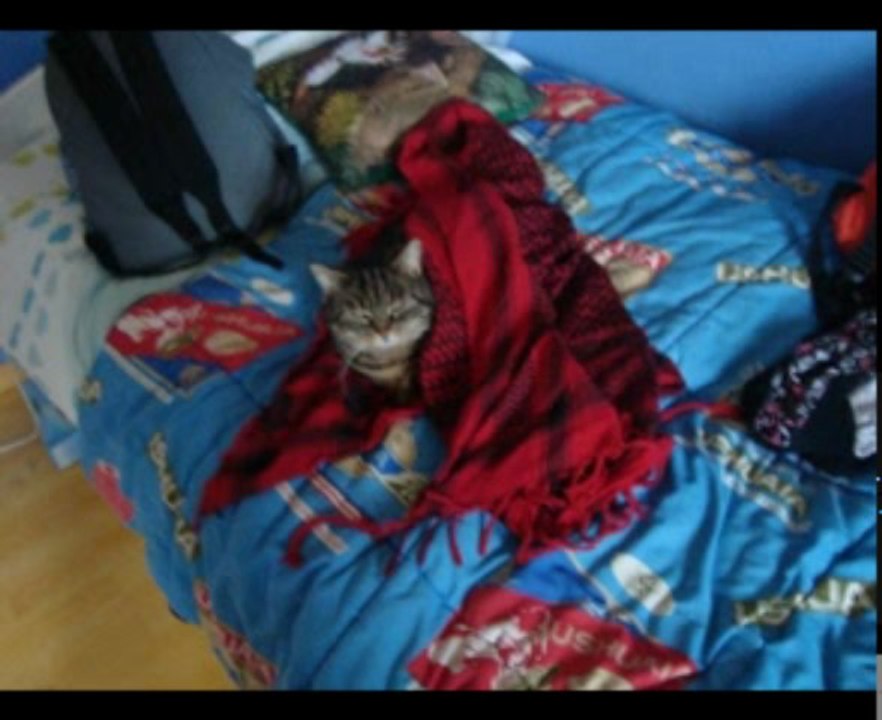 miniu