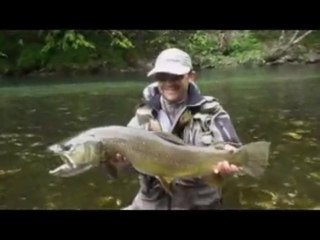 2009, une saison de dingue!