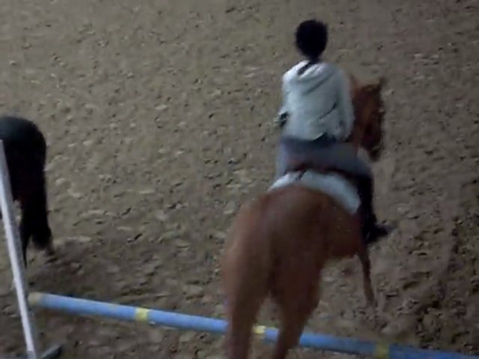 Petit parcours d'obstacle avec kelly, CHV