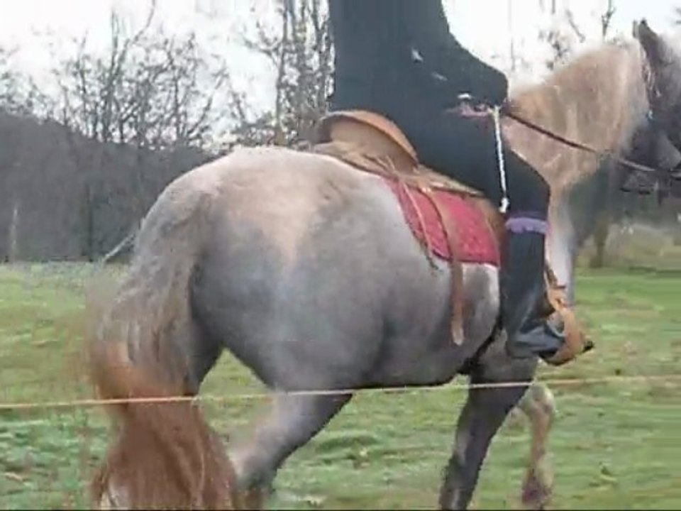 samedi 14 novembre 2009