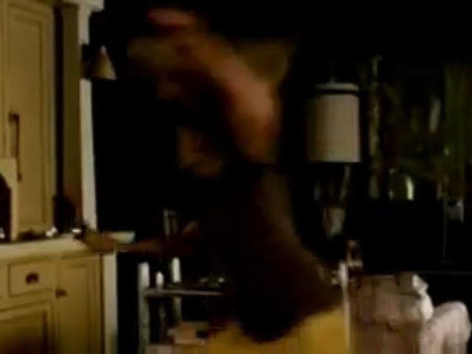  - DVD TV Spot  (Anglais)