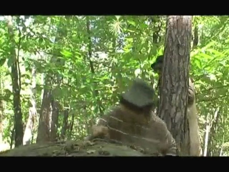 Pepper War 2 (bande annonce)