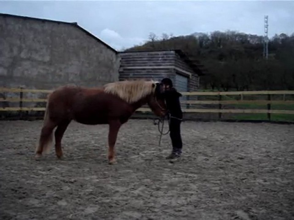 mattur étho cirque 14 nov 2009