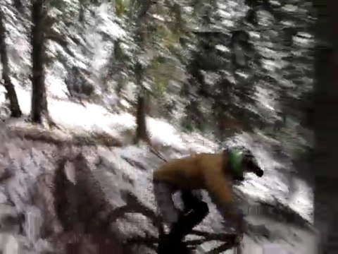 PORTION PISTE VTT MICKEY TRAIL à VILLARD DE LANS