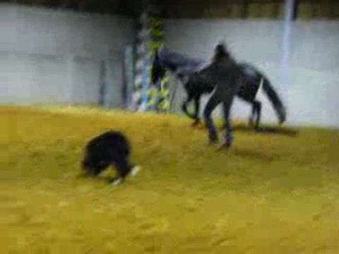 Ulys longe 4 nov 014