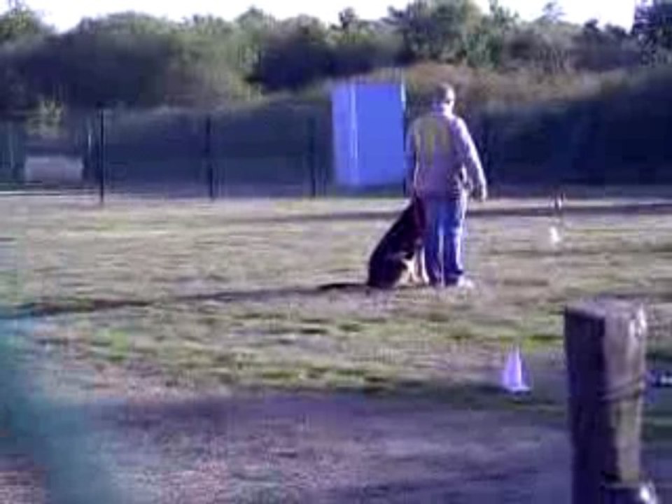 DANCE des Côteaux du Lys - Chpt régional obéissance 2009