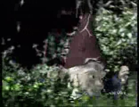 Spot publicitaire 1998 - Chewing gum Hollywood