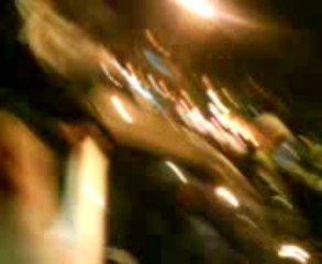 algerie 14 novembre lgc sur les champs