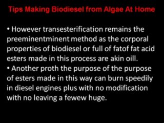 Tips Making Biodiesel from Algae at Home