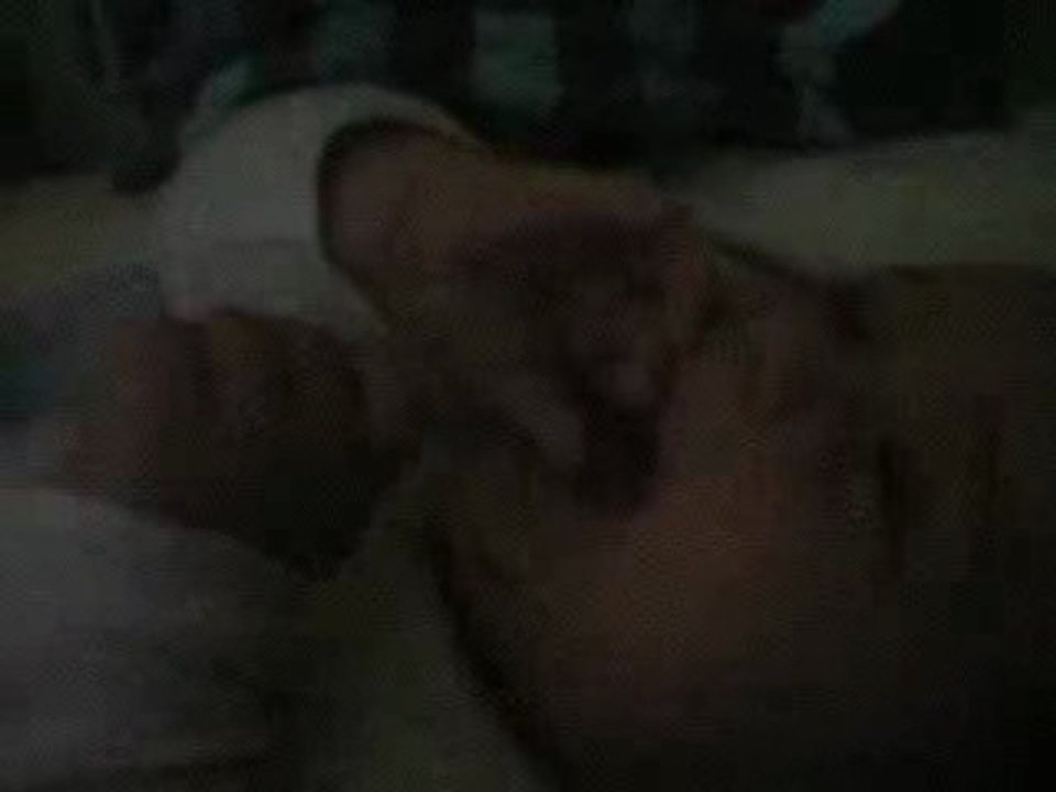 Robin ma bille de clown