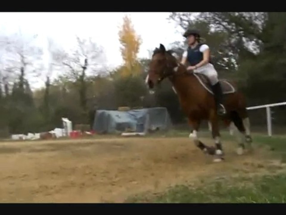 Séance pinto et moi