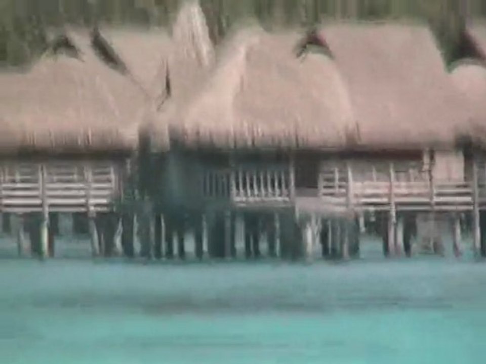 polynesie
