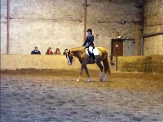 concours dressage ecurie d escazalou