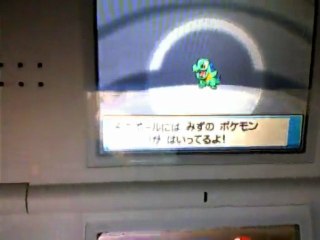 Kaiminus shiny Coeur d'or//Shiny totodile Heart gold (NO AR)