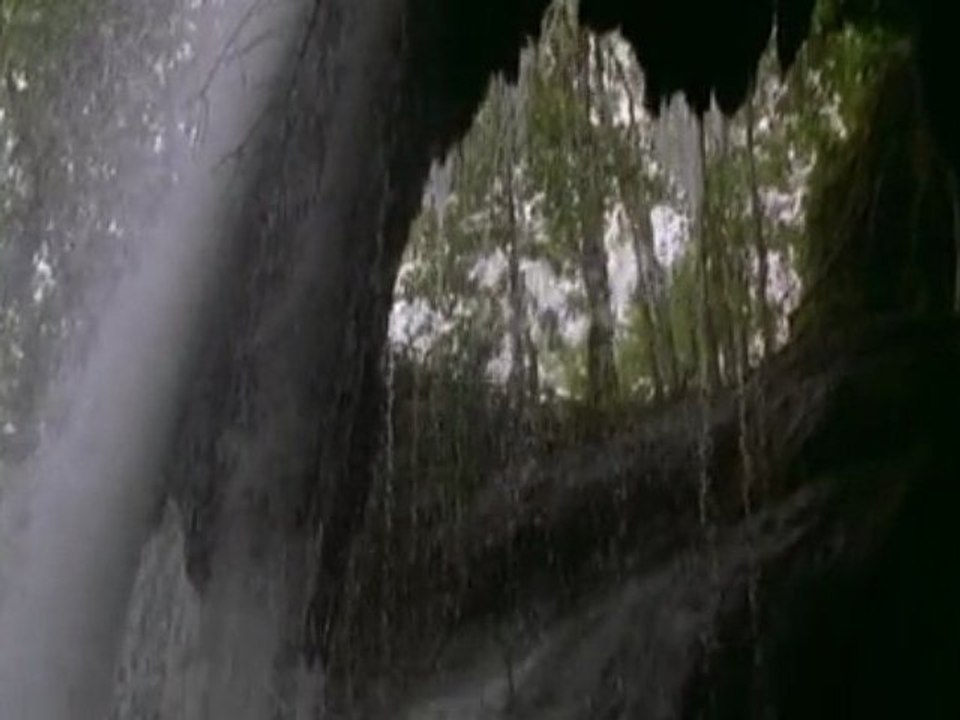 V6