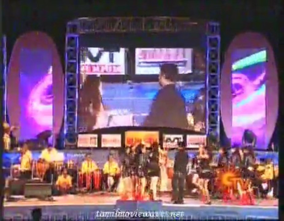 fefsunshow p3