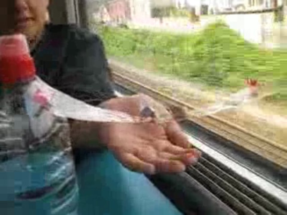 Thomas & super bouteille s'amuse !