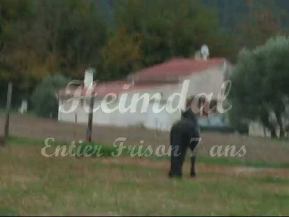 Heimdal 15 novembre 2009