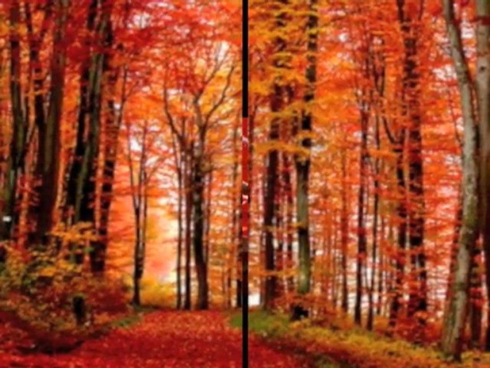 Grenat - 6/15 Histoires Courtes de Jean Yves MATYNIA