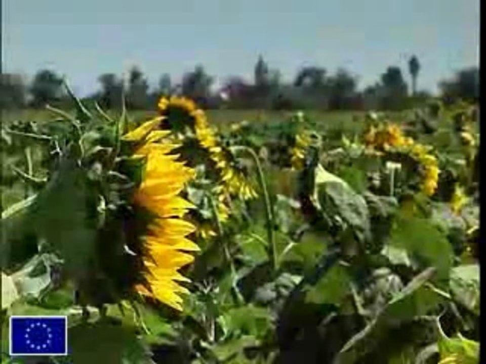 20% d'Energies renouvelables en 2020