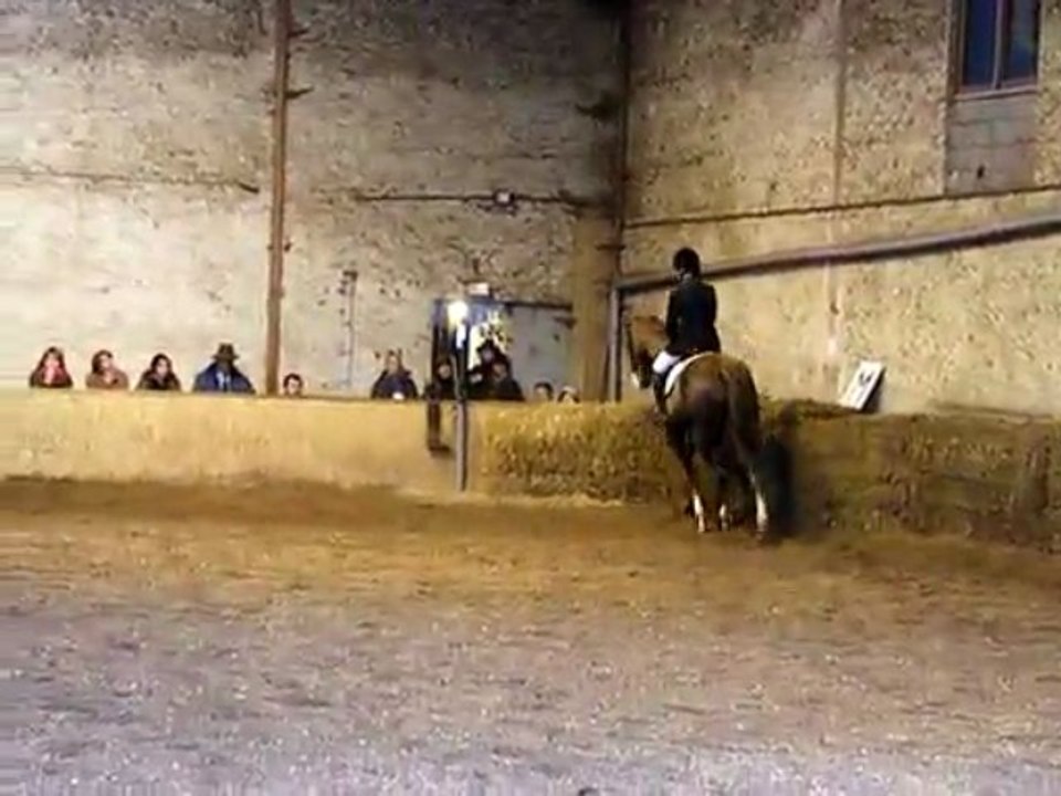 concours dressage ecurie d escazalou