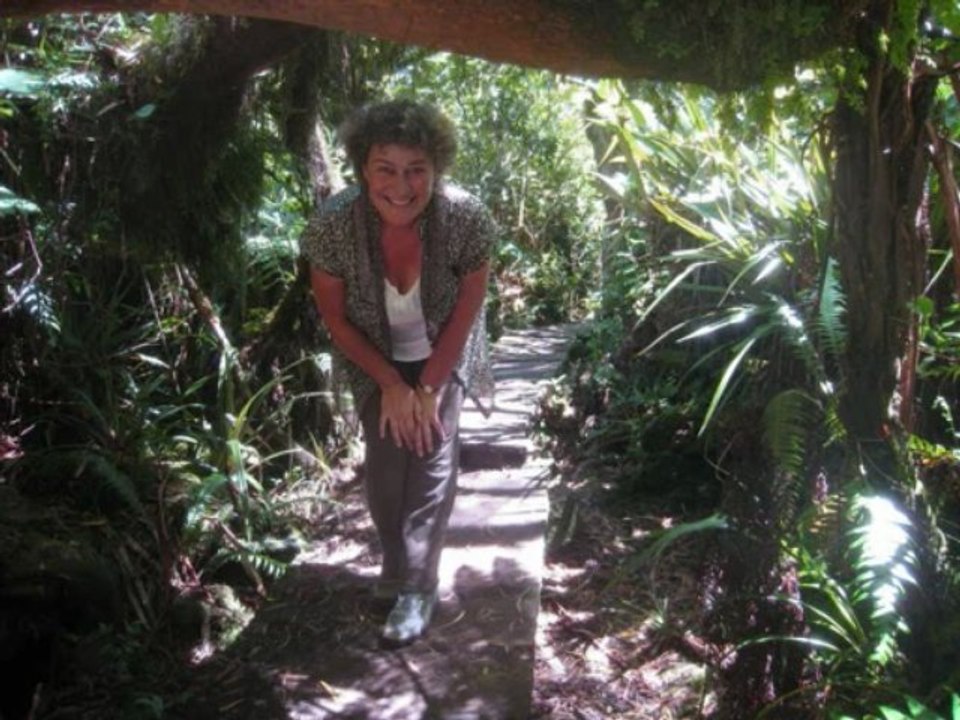 Forêt de Belouve
