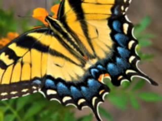 Histoire Courte 2 - 2/14 - Jean Yves Matynia