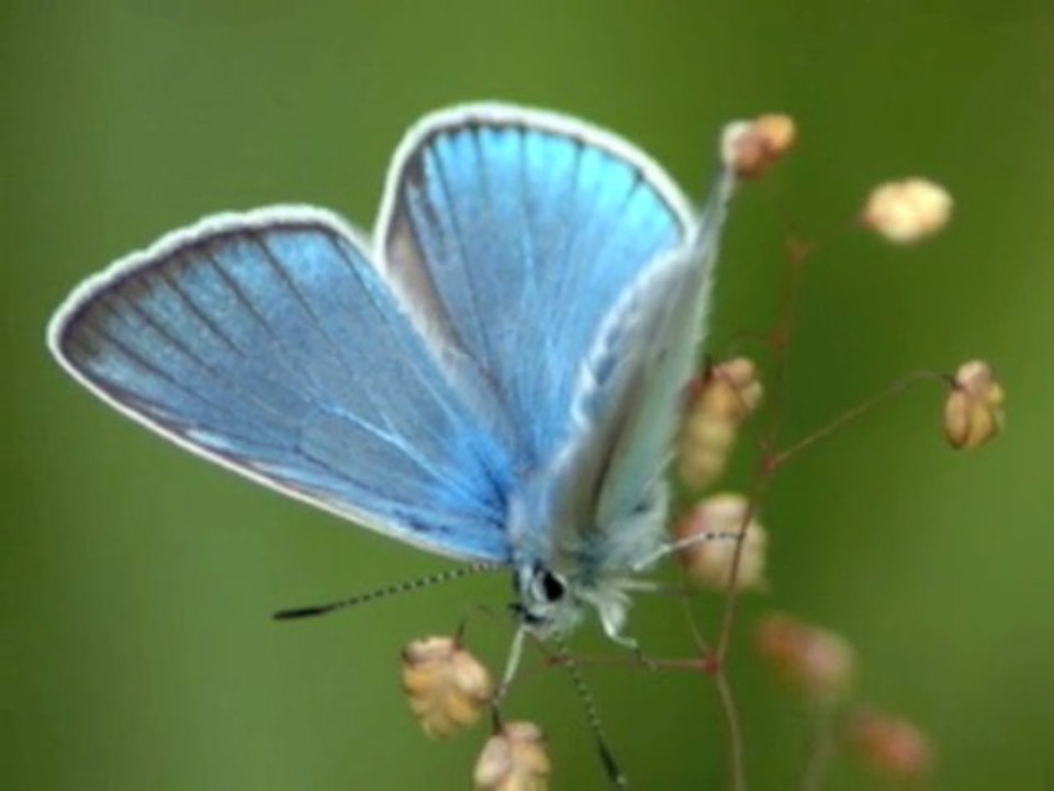 Histoire Courte 5 - 5/14 - Jean Yves Matynia