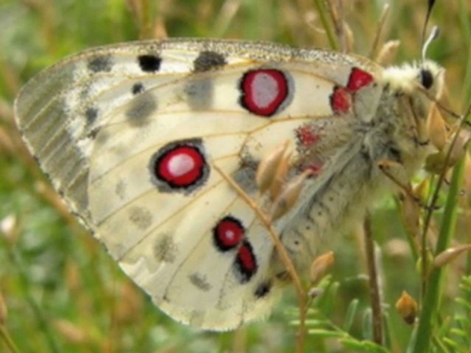 Histoire Courte 10 - 10/14 - Jean Yves Matynia