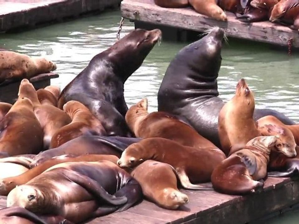 L'Ouest Américain (documentaire)
