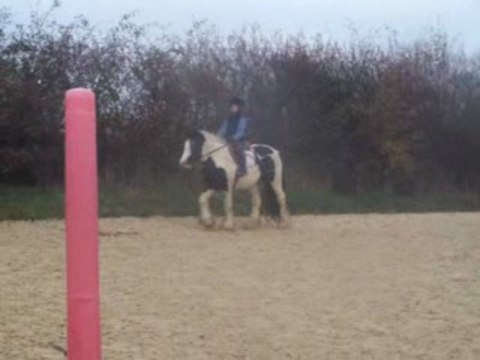 Baptiste et Piebald, au trot, grande carriere