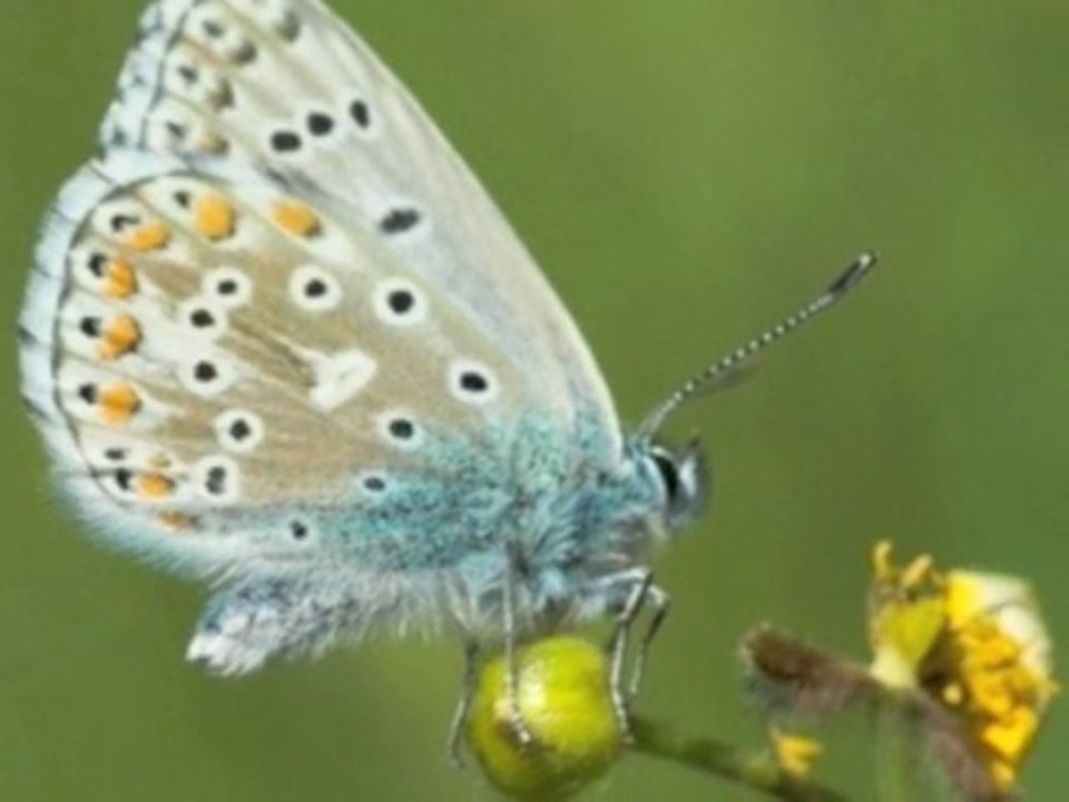 Histoire Courte 12 - 12/14 - Jean Yves Matynia