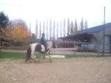 baptiste et Piebald, au galop dans la petite carriere