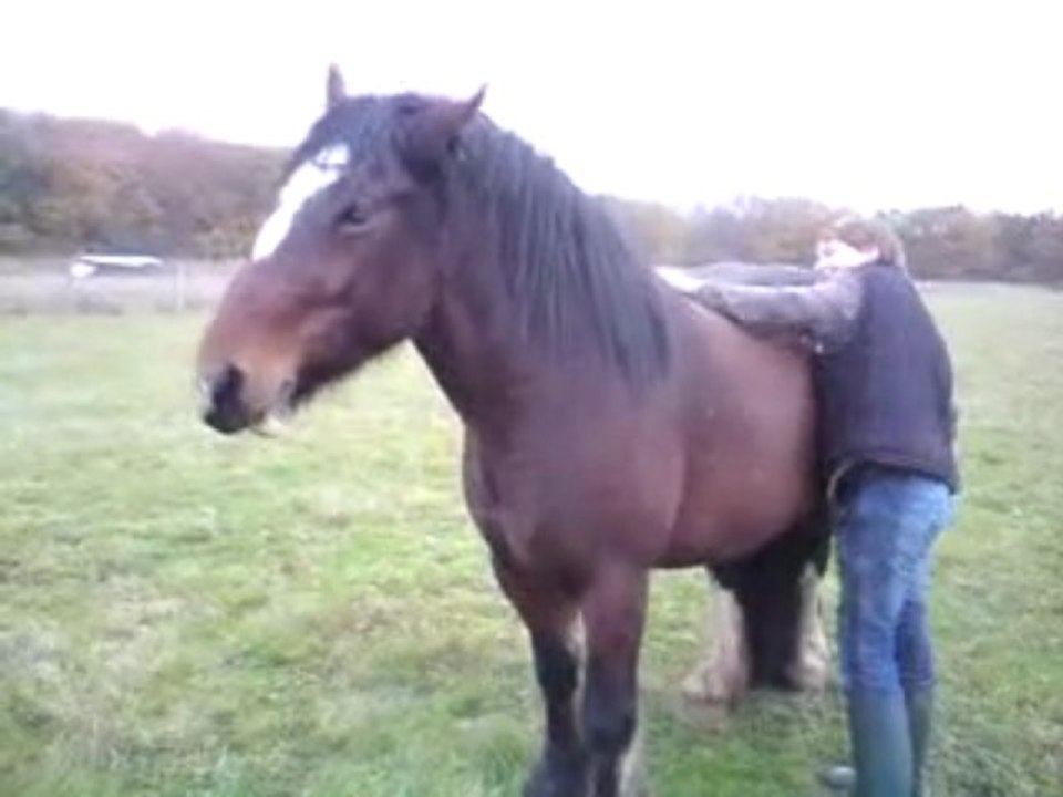 julien gratouille feeringa